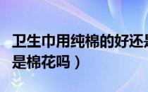 卫生巾用纯棉的好还是网面的好（卫生巾用的是棉花吗）