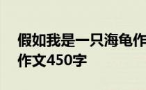 假如我是一只海龟作文350字 我变成了海龟作文450字