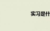 实习是什么意思？