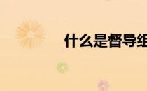 什么是督导组 什么是督导