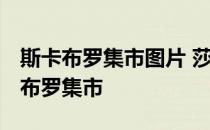 斯卡布罗集市图片 莎拉布莱曼 莎拉布莱曼卡布罗集市