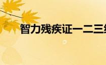 智力残疾证一二三级的标准 智力残疾