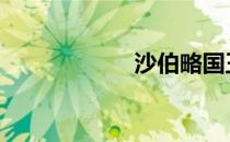 沙伯略国王 沙伯略