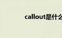 callout是什么意思 callout