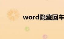 word隐藏回车符号 回车符号
