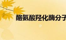 酪氨酸羟化酶分子量 酪氨酸羟化酶