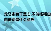龙马素有千里志,不待扬鞭自奋蹄! 龙马素有千里志不待扬鞭自奋蹄是什么意思