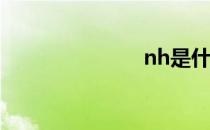 nh是什么格式