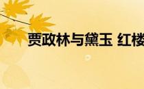 贾政林与黛玉 红楼琦梦贾政上林黛玉