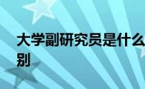 大学副研究员是什么级别 副研究员是什么级别