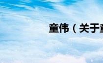 童伟（关于童伟的介绍）