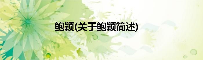 鲍颖(关于鲍颖简述)