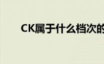 CK属于什么档次的（ck算什么档次）