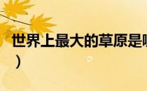 世界上最大的草原是哪个（世界上最大的草原）
