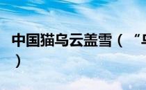 中国猫乌云盖雪（“乌云盖雪”的猫名是什么）