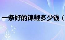 一条好的锦鲤多少钱（锦鲤一般多少钱一条）