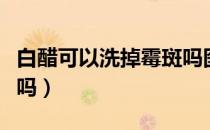 白醋可以洗掉霉斑吗图片（白醋可以洗掉霉斑吗）