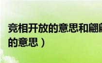 竞相开放的意思和翩翩起舞的意思（竞相开放的意思）