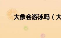 大象会游泳吗（大象会游泳吗百科）