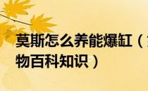 莫斯怎么养能爆缸（如何从一片养到一缸_植物百科知识）