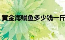 黄金海鳗鱼多少钱一斤（海鳗鱼多少钱一斤）