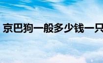 京巴狗一般多少钱一只（京巴犬价格是多少）
