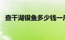 查干湖银鱼多少钱一斤（银鱼多少钱一斤）