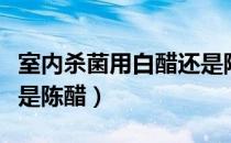 室内杀菌用白醋还是陈醋（家里杀菌用白醋还是陈醋）