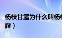 杨枝甘露为什么叫杨枝甘露（为什么叫杨枝甘露）