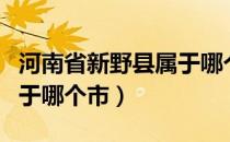 河南省新野县属于哪个市管（河南省新野县属于哪个市）