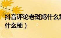 抖音评论老斑鸠什么意思（抖音里的老斑鸠是什么梗）