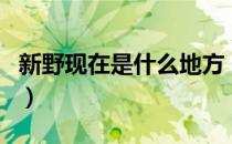 新野现在是什么地方（新野是现在的哪个地方）