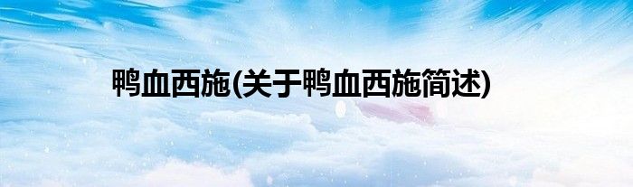 鸭血西施(关于鸭血西施简述)