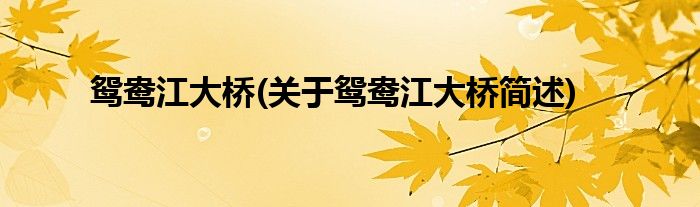 鸳鸯江大桥(关于鸳鸯江大桥简述)