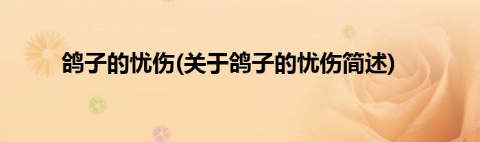 鸽子的忧伤(关于鸽子的忧伤简述)