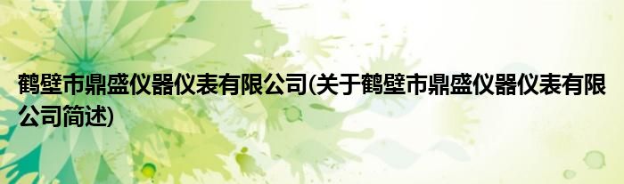 鹤壁市鼎盛仪器仪表有限公司(关于鹤壁市鼎盛仪器仪表有限公司简述)