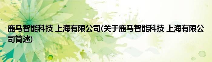 鹿马智能科技 上海有限公司(关于鹿马智能科技 上海有限公司简述)