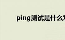ping测试是什么意思（ping测试）