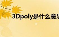 3Dpoly是什么意思 poly是什么意思