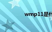 wmp11是什么 wmp11