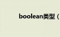 boolean类型（boolean类型）