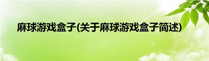 麻球游戏盒子(关于麻球游戏盒子简述)