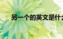 另一个的英文是什么（另一个的英文）