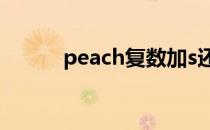 peach复数加s还是es（peach）