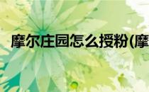 摩尔庄园怎么授粉(摩尔庄园什么植物授粉)