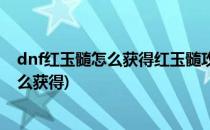 dnf红玉髓怎么获得红玉髓攻略(dnf红玉髓除了每日还能怎么获得)