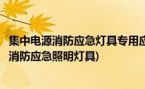 集中电源消防应急灯具专用应急电源的安装和调试(集中电源消防应急照明灯具)