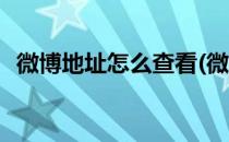 微博地址怎么查看(微博地址怎么查看他人)