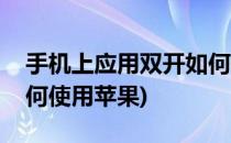手机上应用双开如何使用(手机上应用双开如何使用苹果)