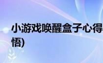 小游戏唤醒盒子心得(小游戏唤醒盒子心得感悟)